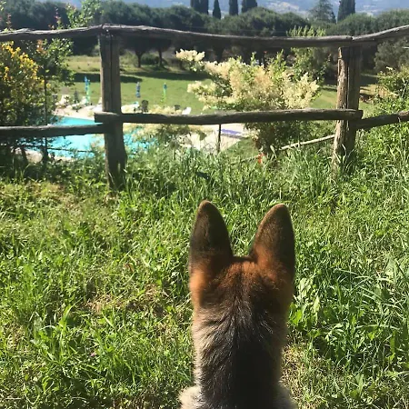Fattoria Di Cintoia Farm stay *