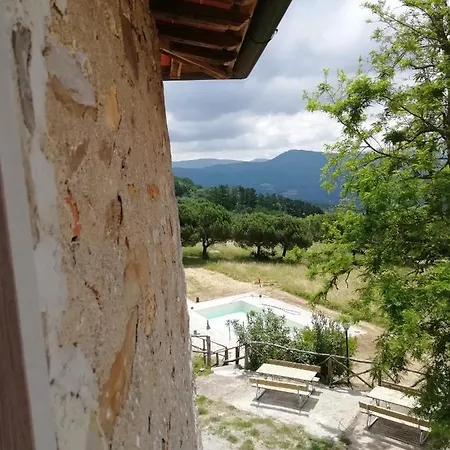 Lantgård Fattoria Di Cintoia Pontassieve
