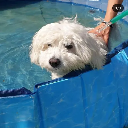 Fattoria Di Cintoia Gospodarstwo agroturystyczne *