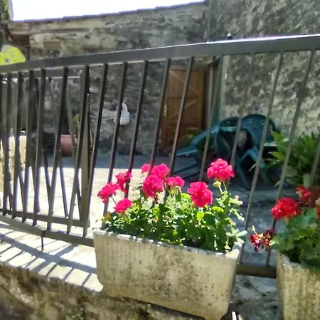 Fattoria Di Cintoia *