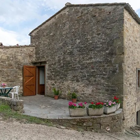 Fattoria Di Cintoia *