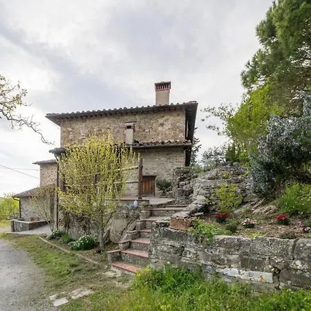 Fattoria Di Cintoia Pontassieve